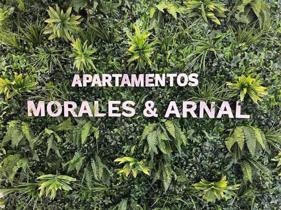 XX D Apartamentos Morales & Arnal Ronda Dış mekan fotoğraf